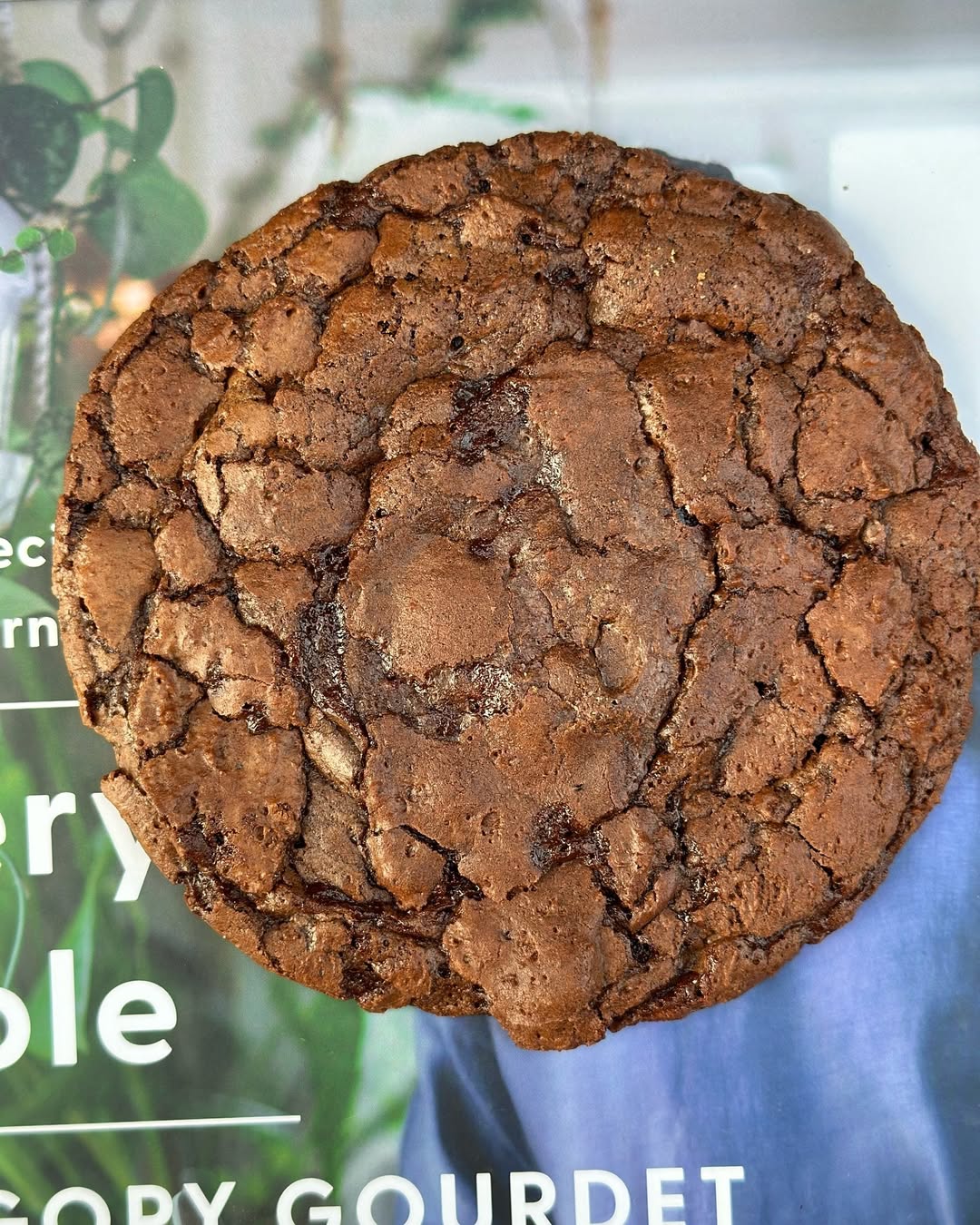 Brownie Cookie